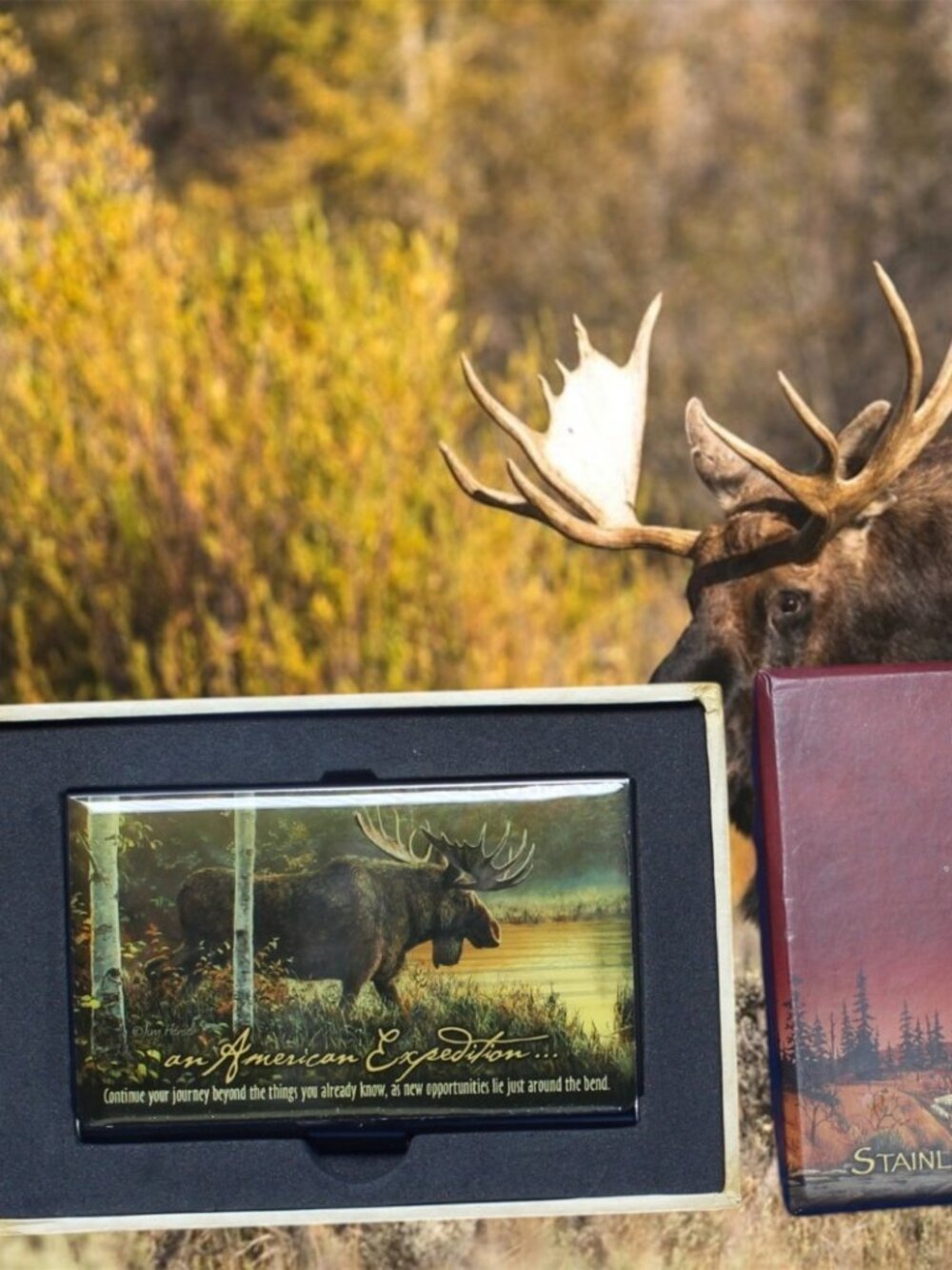American Expedition Moose Stainless Steel Business Card Holder NEW Hunting